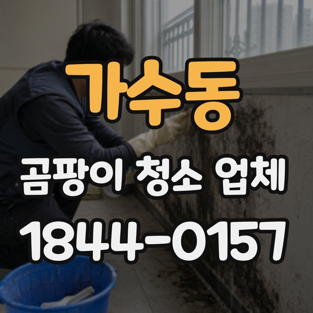 가수동 곰팡이 청소 업체