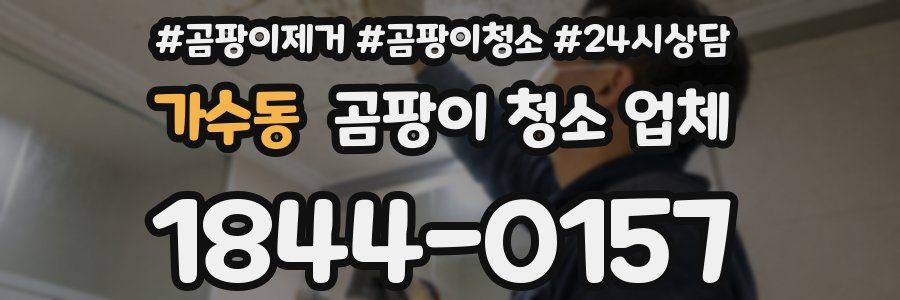 가수동 곰팡이 청소 업체