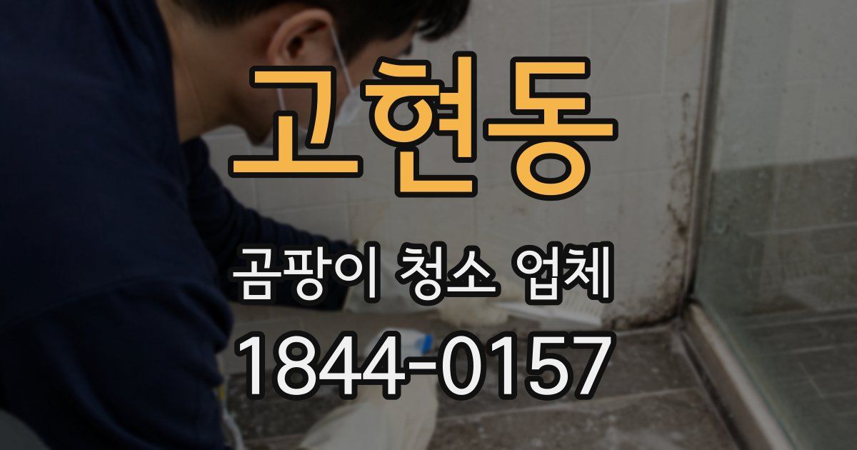 고현동 곰팡이 청소 업체