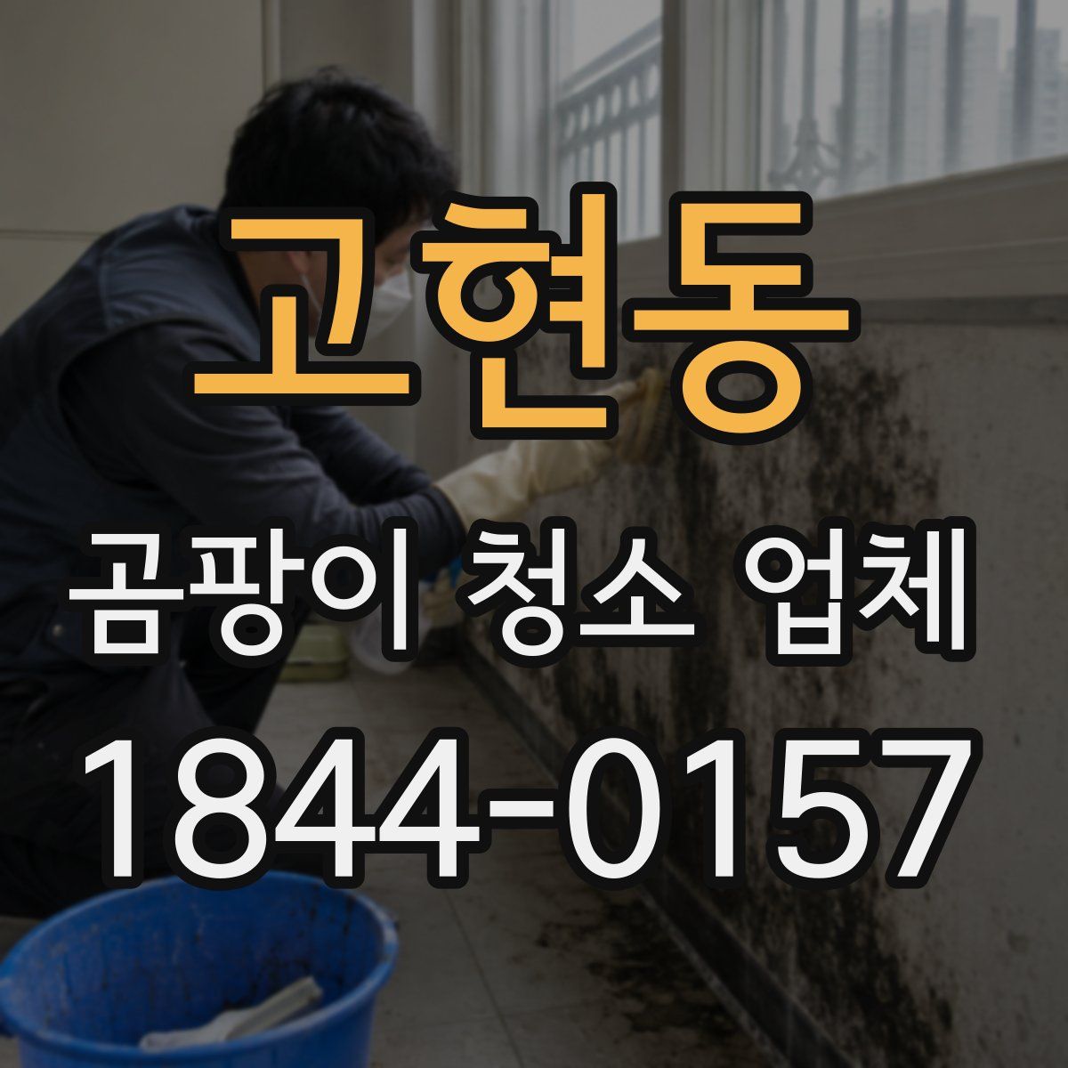 고현동 곰팡이 청소 업체