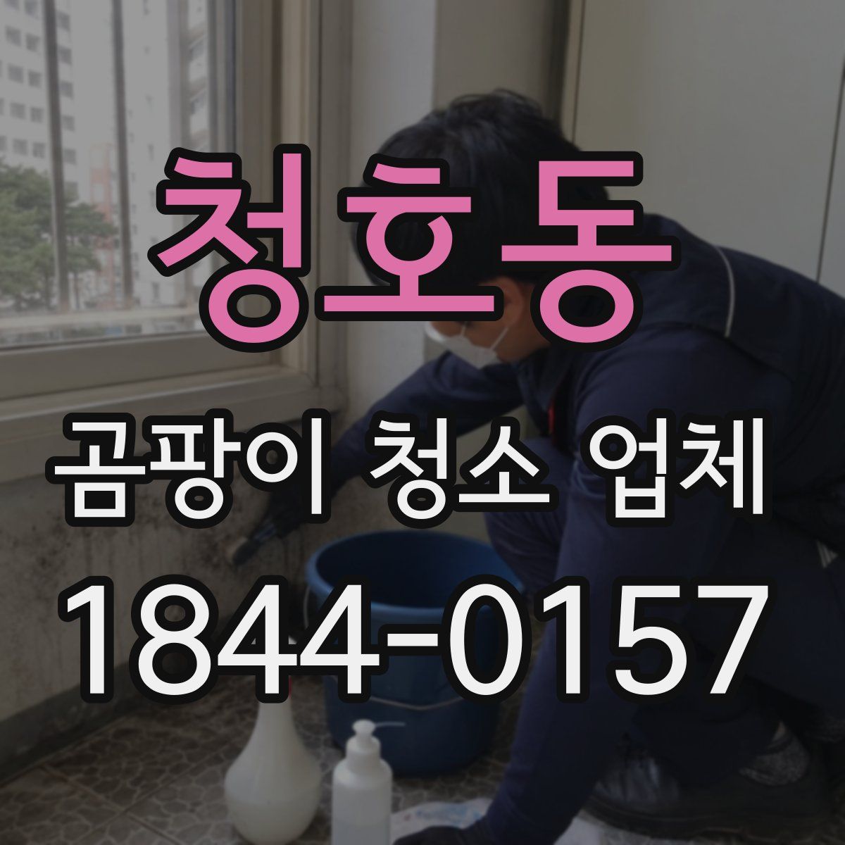청호동 곰팡이 청소 업체