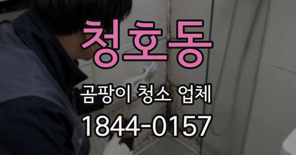 청호동 곰팡이 청소 업체