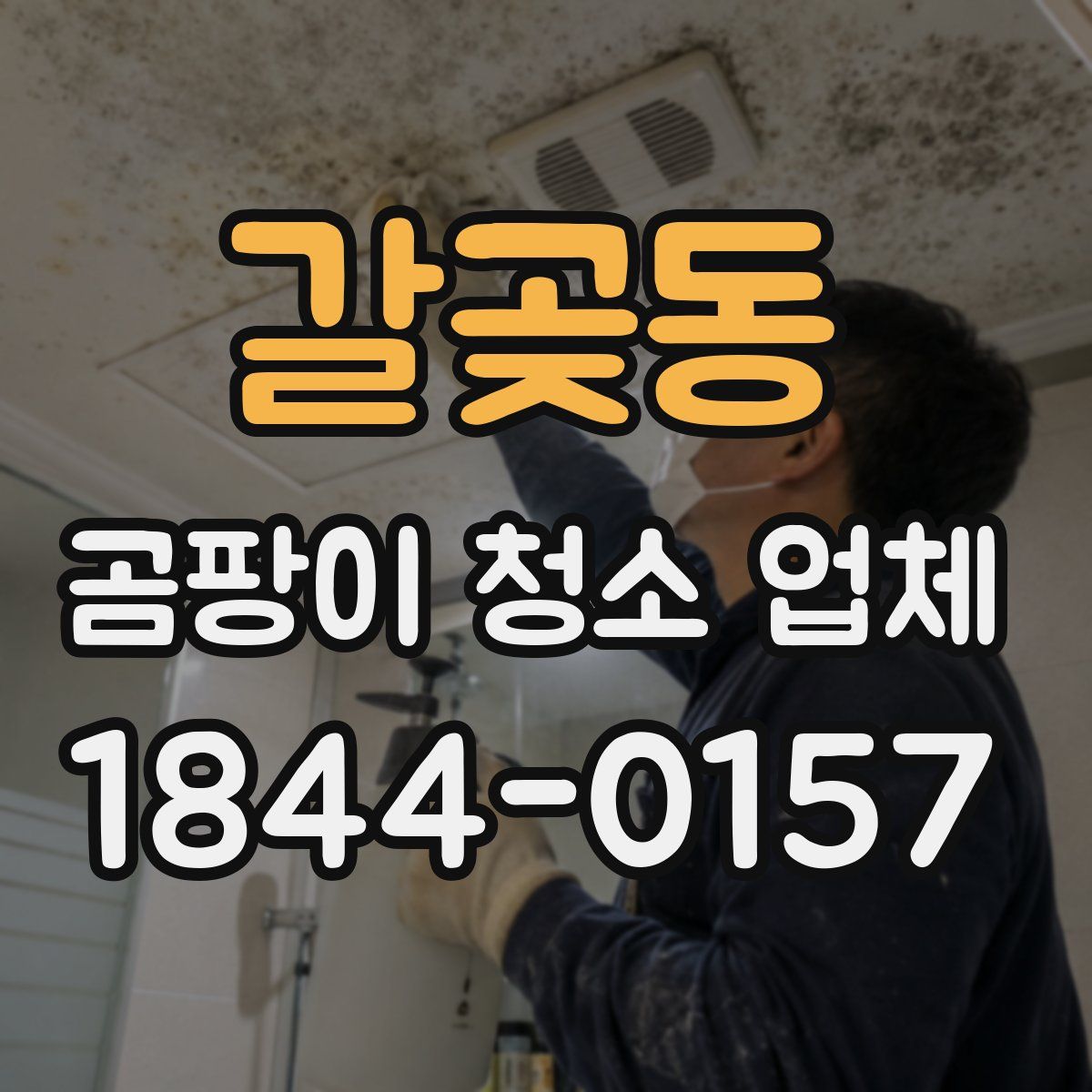 갈곶동 곰팡이 청소 업체