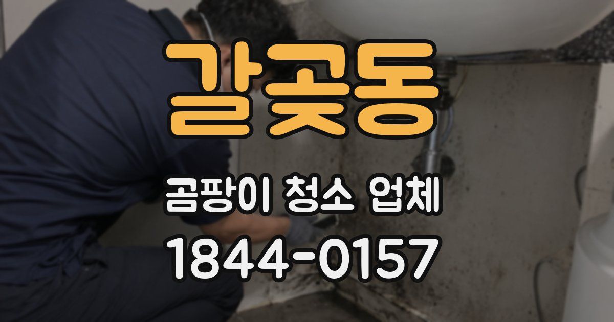 갈곶동 곰팡이 청소 업체