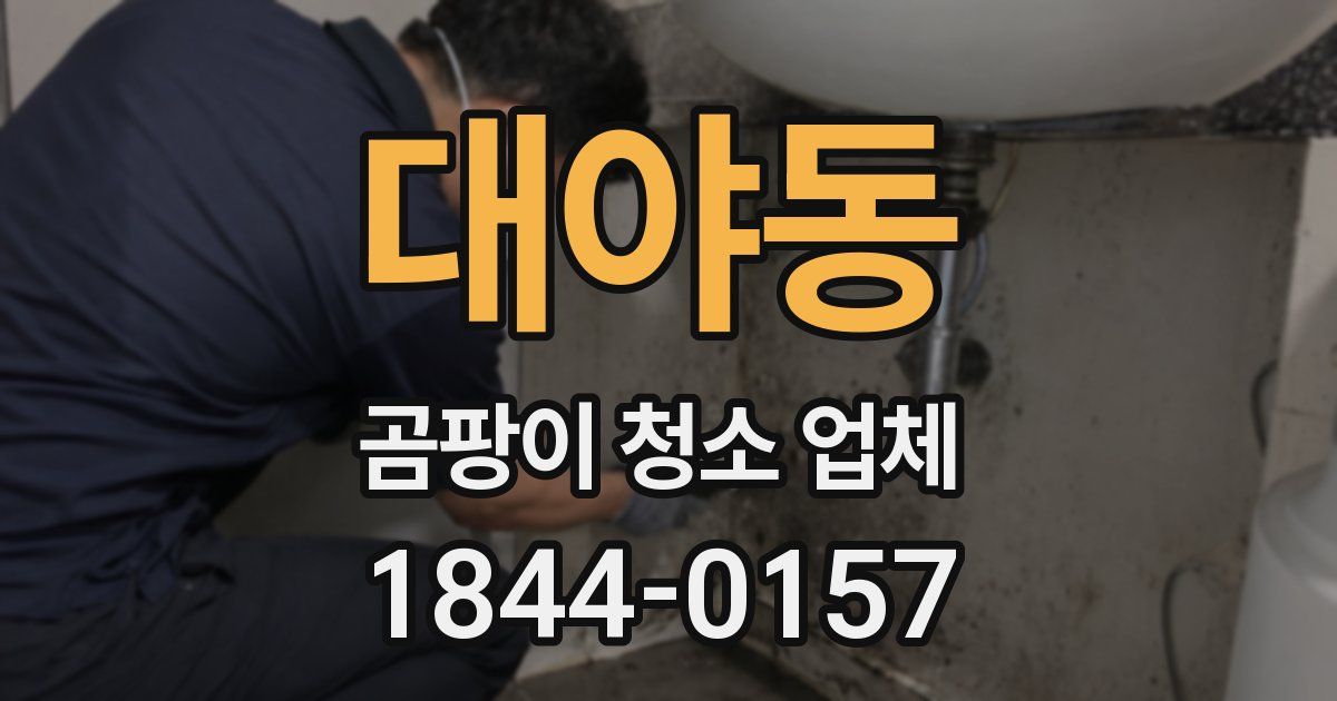 대야동 곰팡이 청소 업체