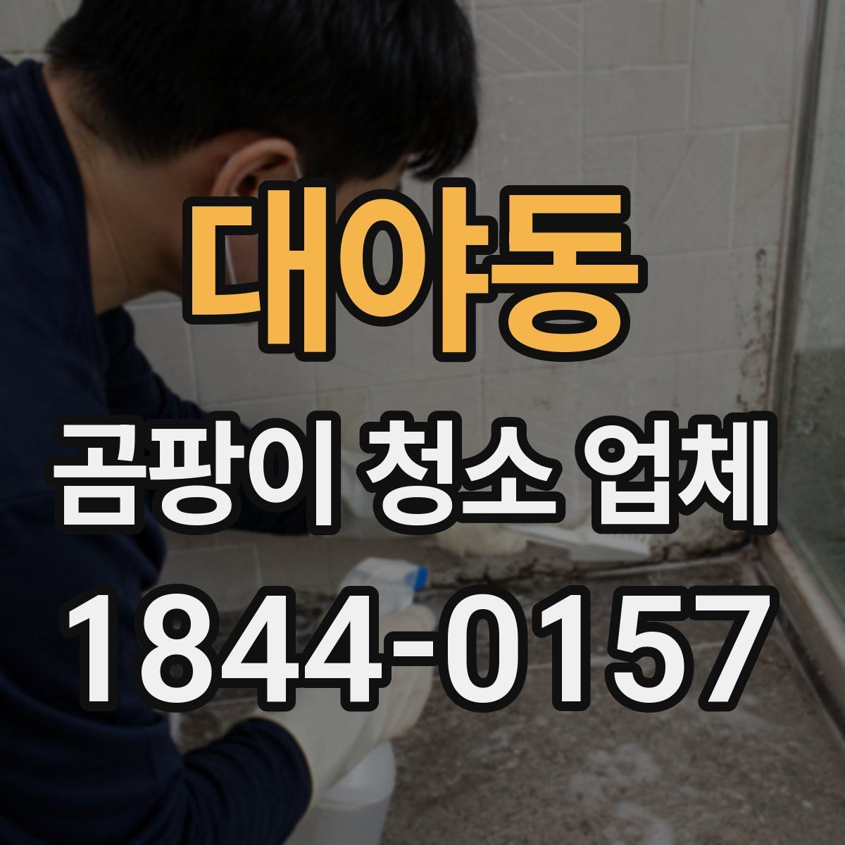 대야동 곰팡이 청소 업체