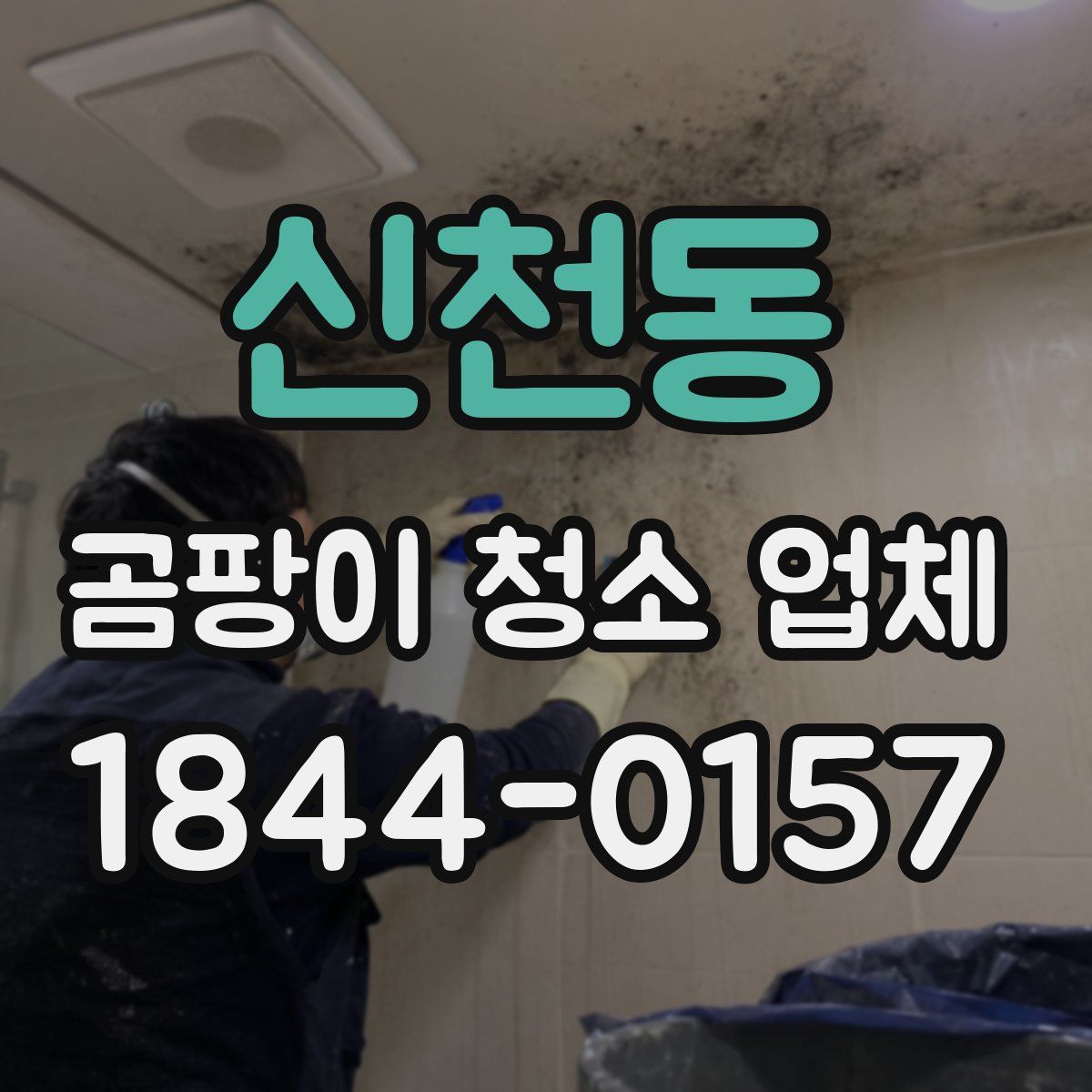 신천동 곰팡이 청소 업체