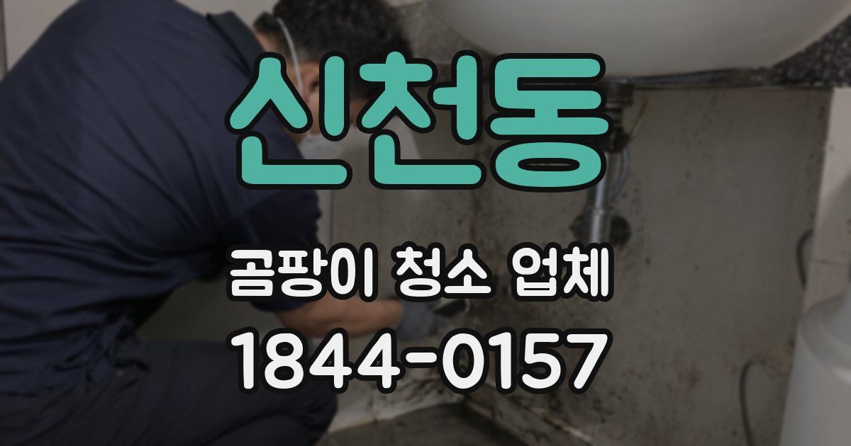 신천동 곰팡이 청소 업체
