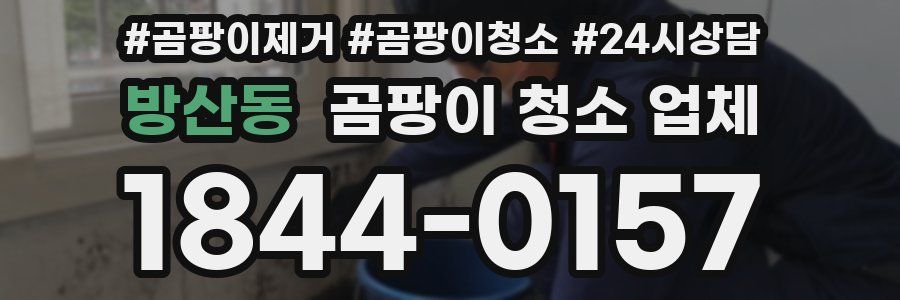 방산동 곰팡이 청소 업체