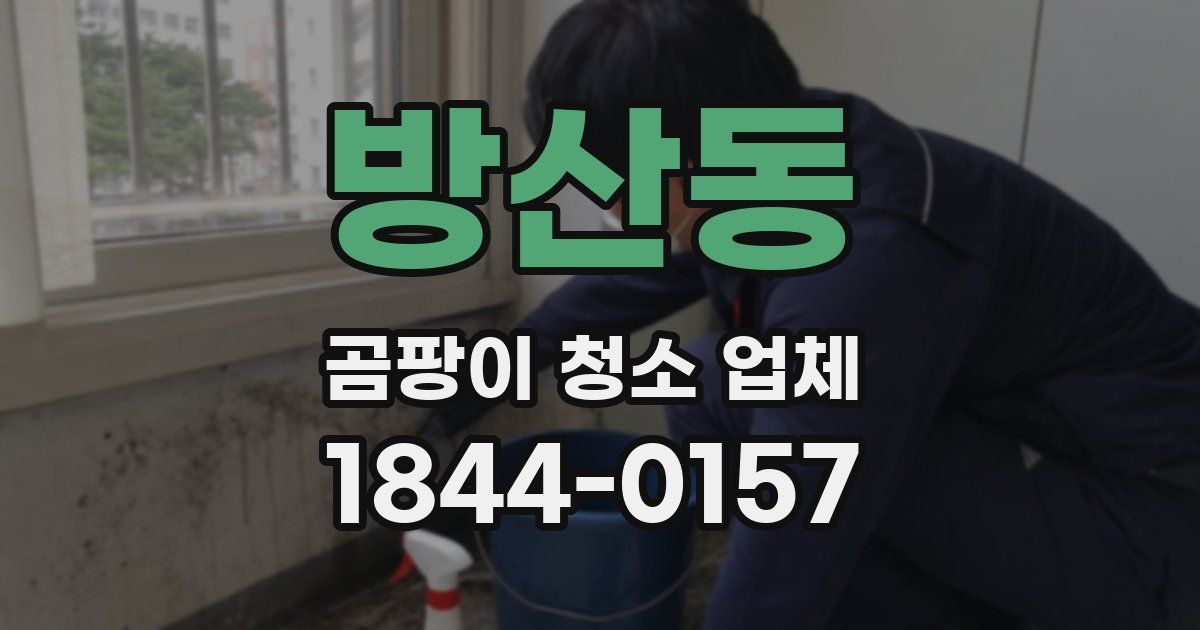 방산동 곰팡이 청소 업체