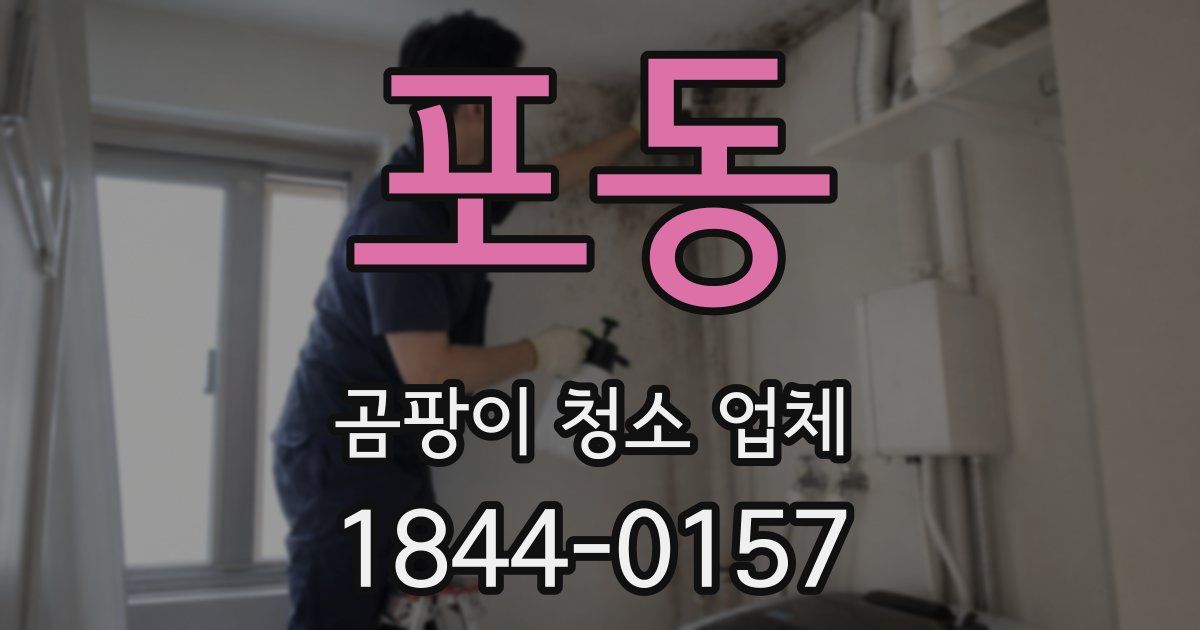 포동 곰팡이 청소 업체
