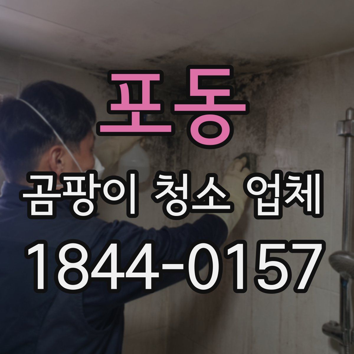 포동 곰팡이 청소 업체