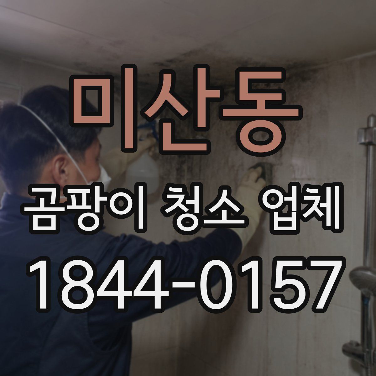 미산동 곰팡이 청소 업체