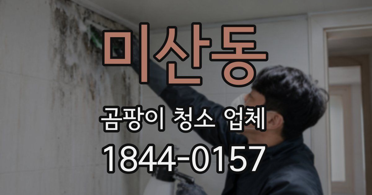 미산동 곰팡이 청소 업체