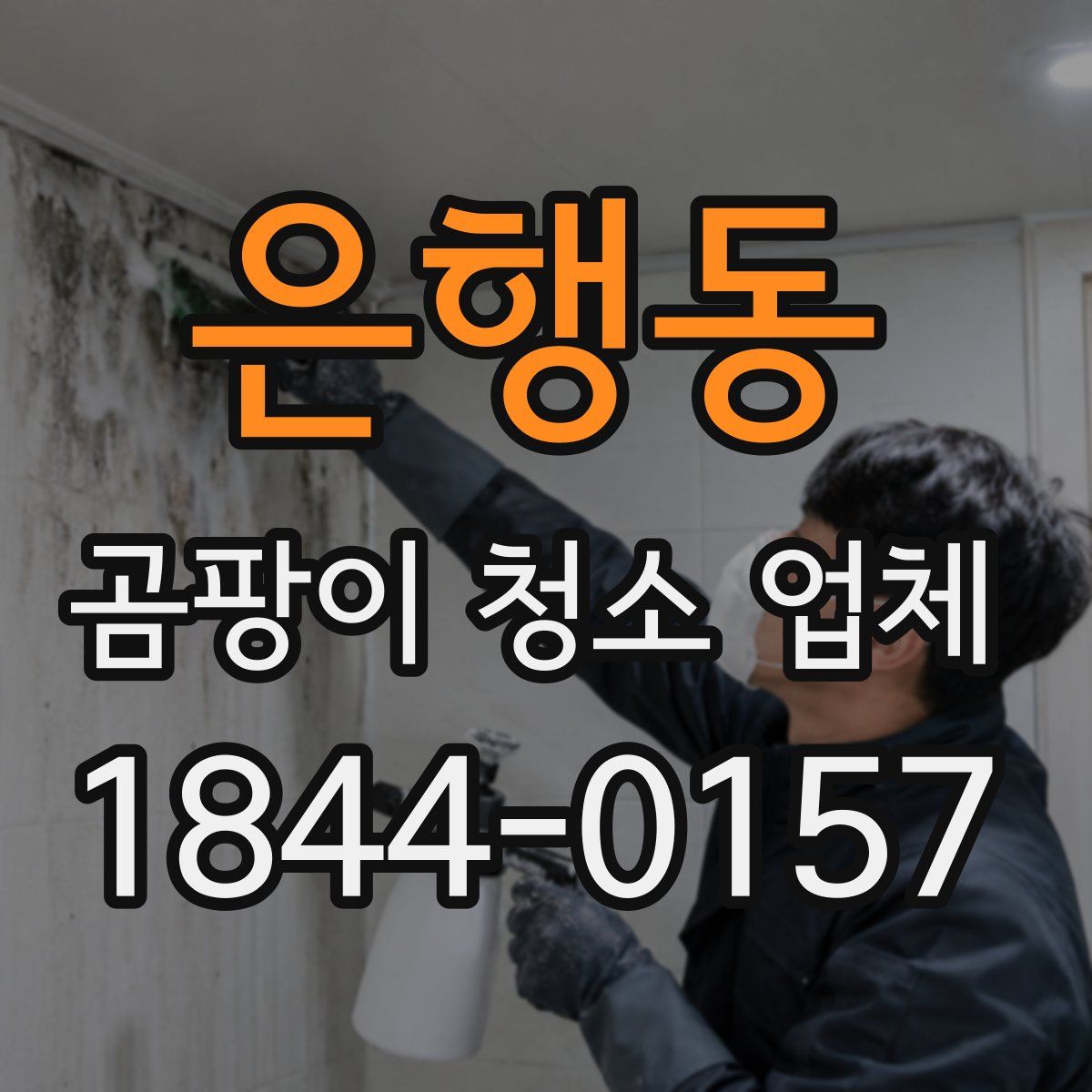 은행동 곰팡이 청소 업체