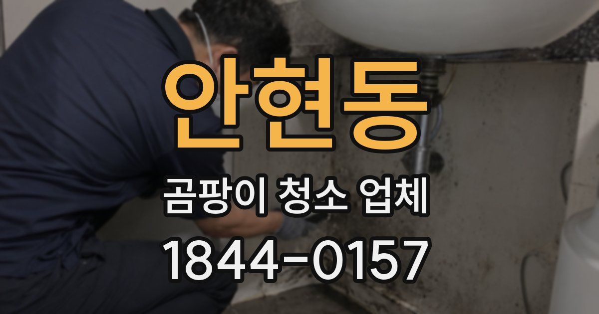 안현동 곰팡이 청소 업체