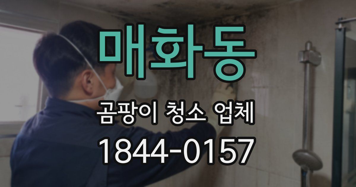 매화동 곰팡이 청소 업체