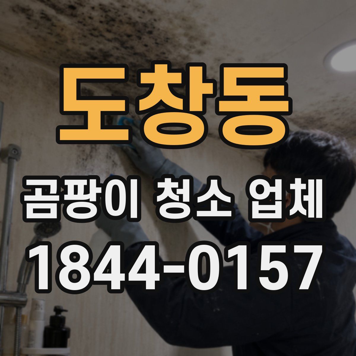 도창동 곰팡이 청소 업체