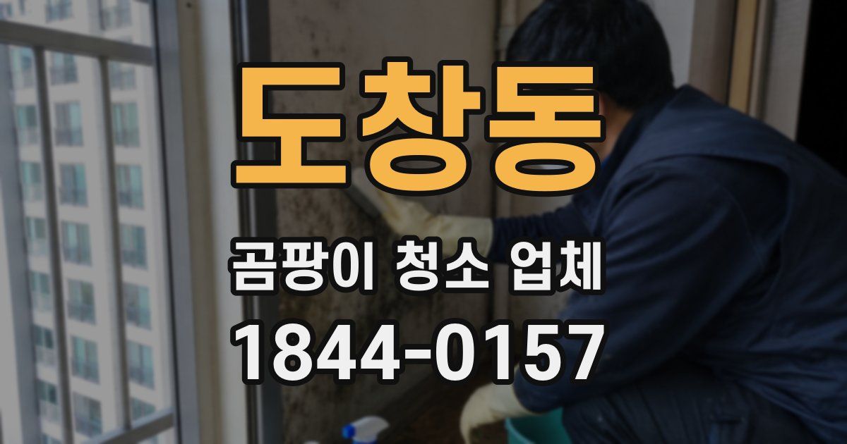 도창동 곰팡이 청소 업체