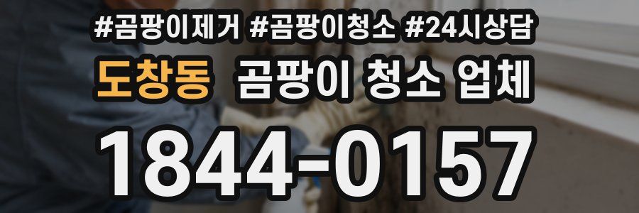 도창동 곰팡이 청소 업체