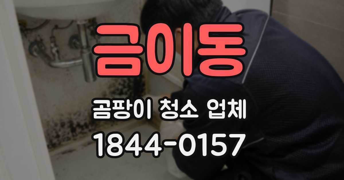 금이동 곰팡이 청소 업체