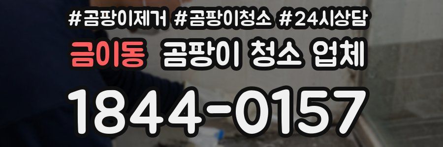 금이동 곰팡이 청소 업체