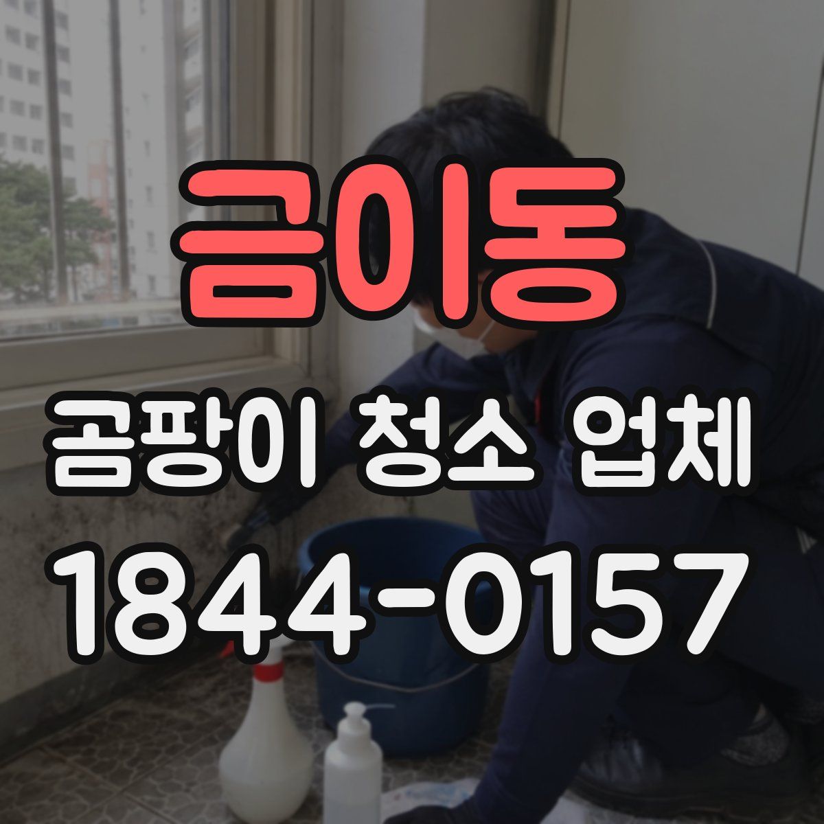 금이동 곰팡이 청소 업체