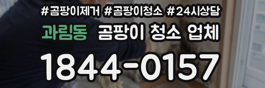 과림동 곰팡이 청소 업체