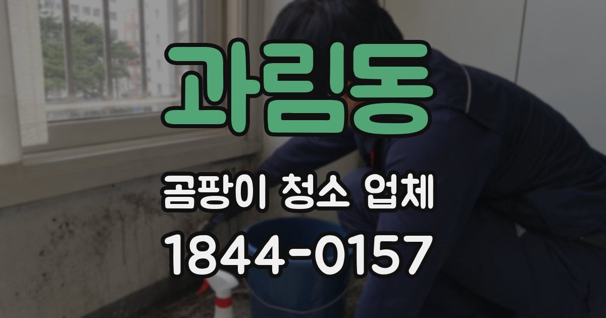 과림동 곰팡이 청소 업체