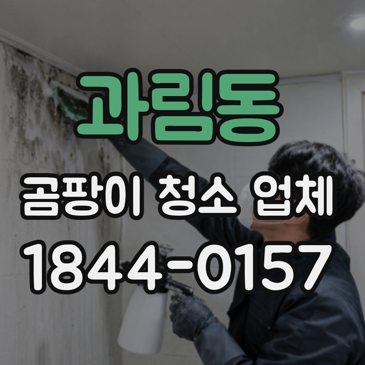 과림동 곰팡이 청소 업체
