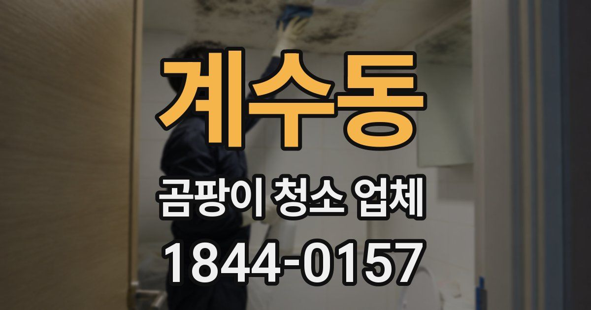 계수동 곰팡이 청소 업체