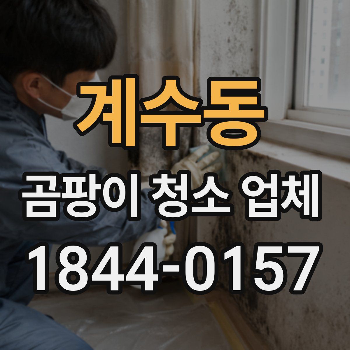 계수동 곰팡이 청소 업체