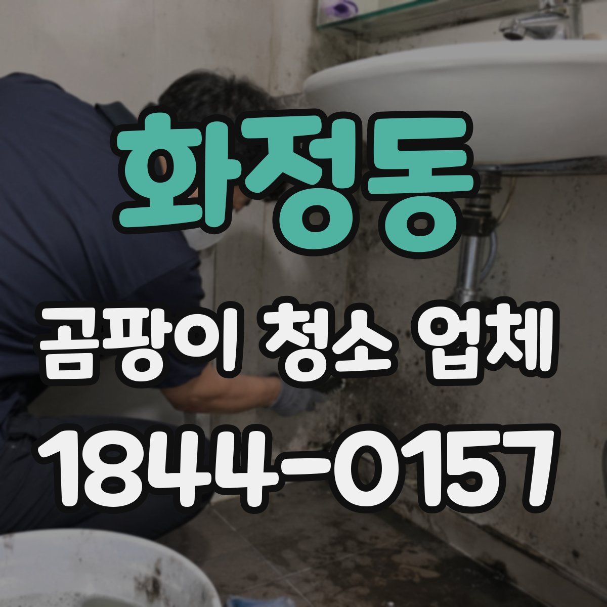 화정동 곰팡이 청소 업체