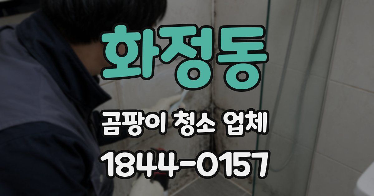 화정동 곰팡이 청소 업체