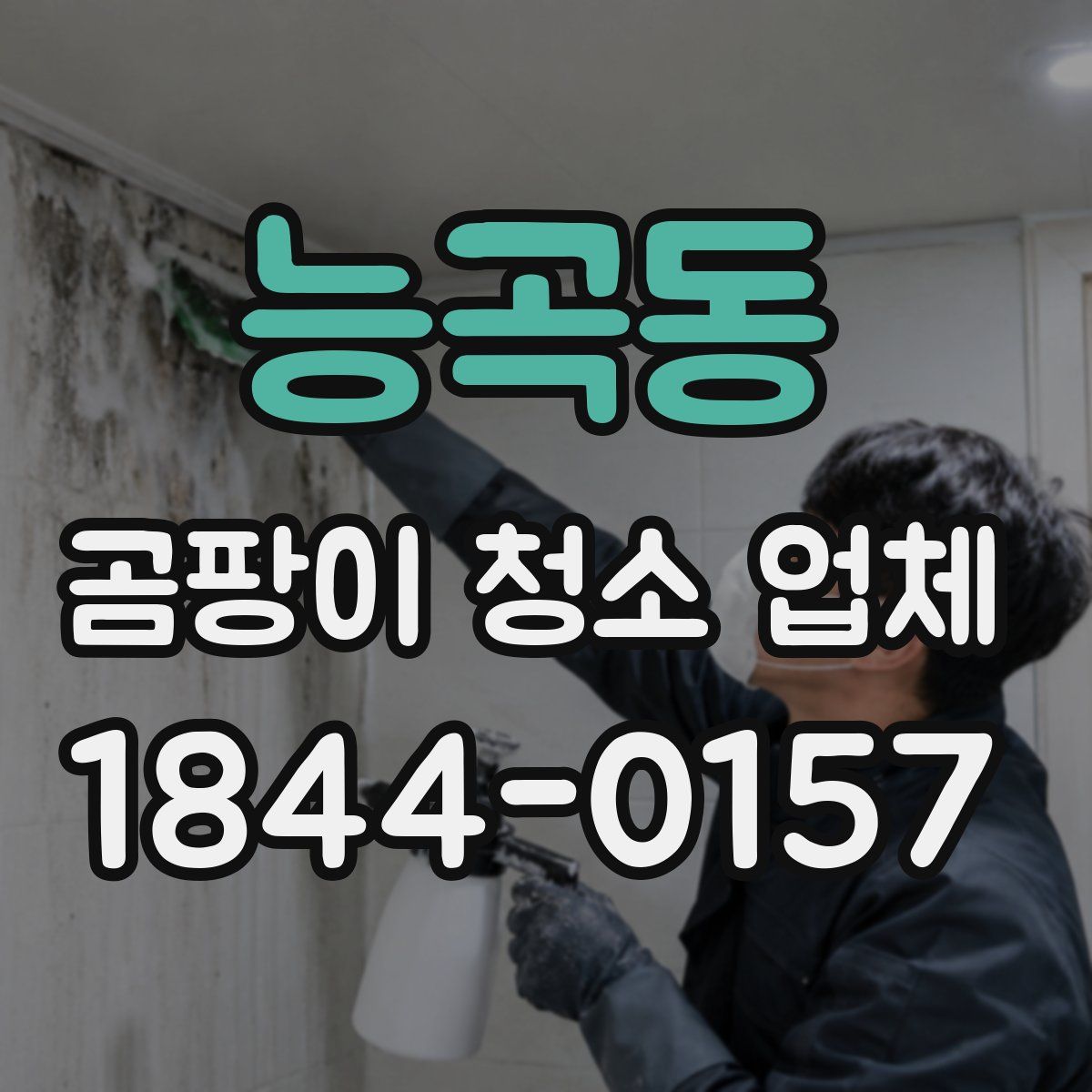 능곡동 곰팡이 청소 업체