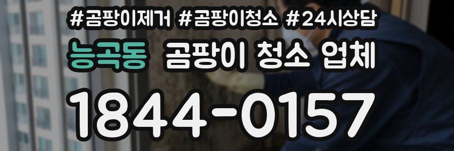 능곡동 곰팡이 청소 업체