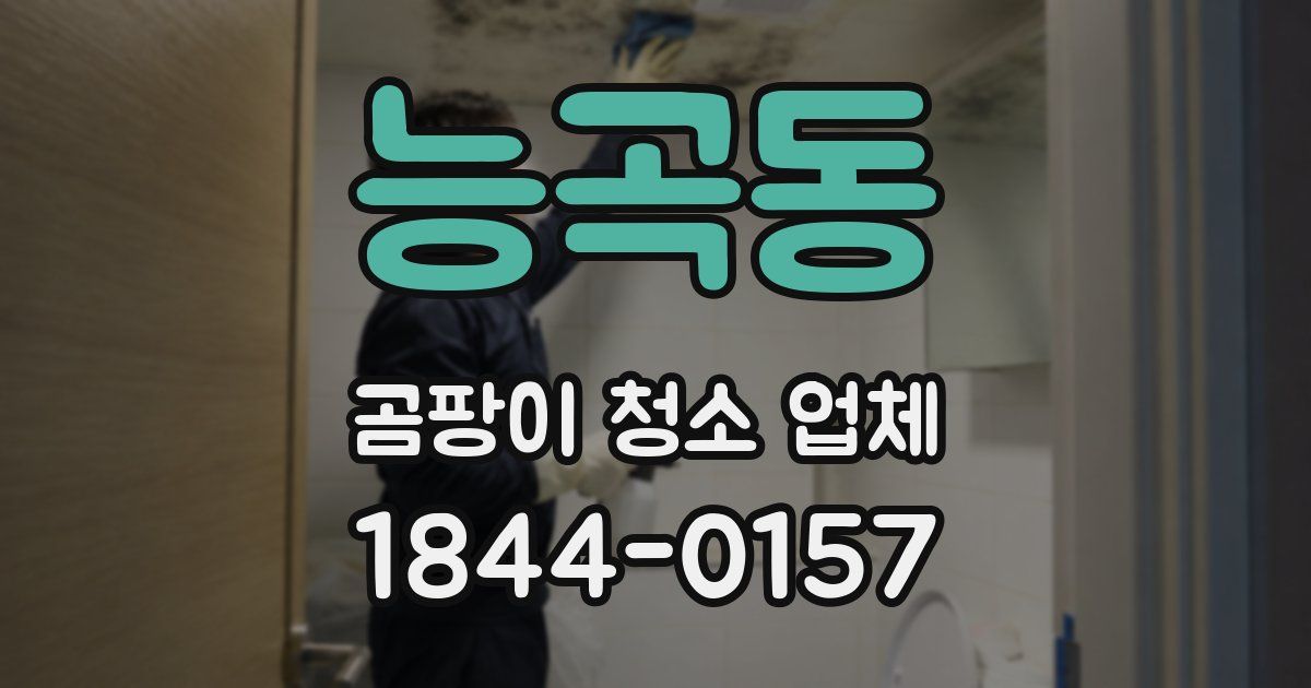 능곡동 곰팡이 청소 업체
