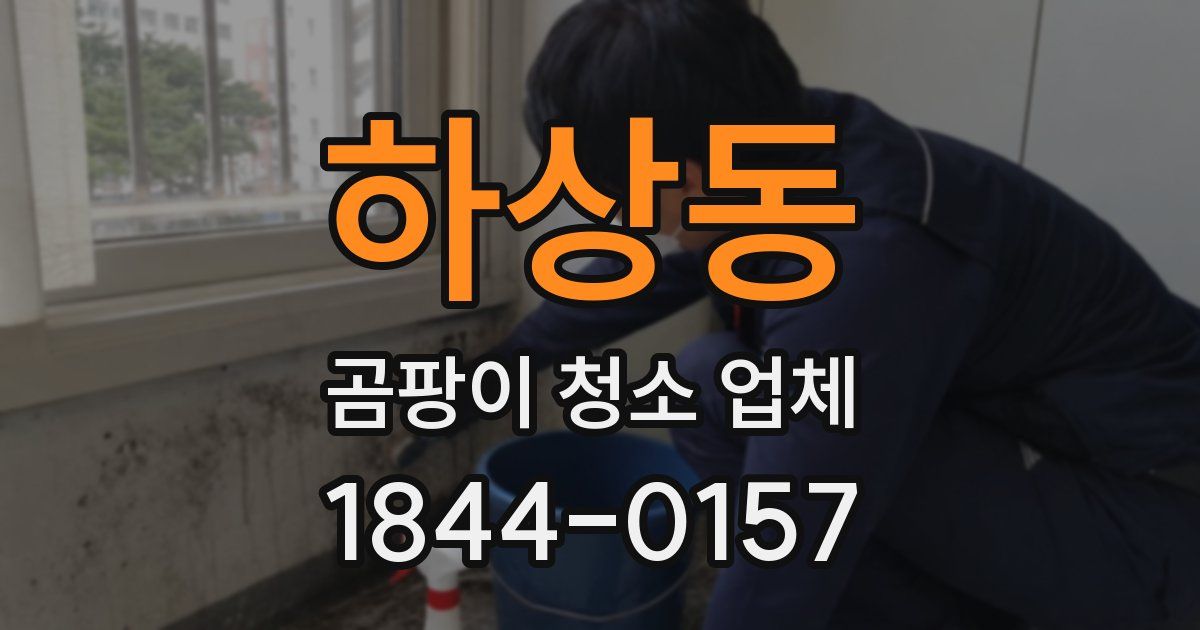 하상동 곰팡이 청소 업체