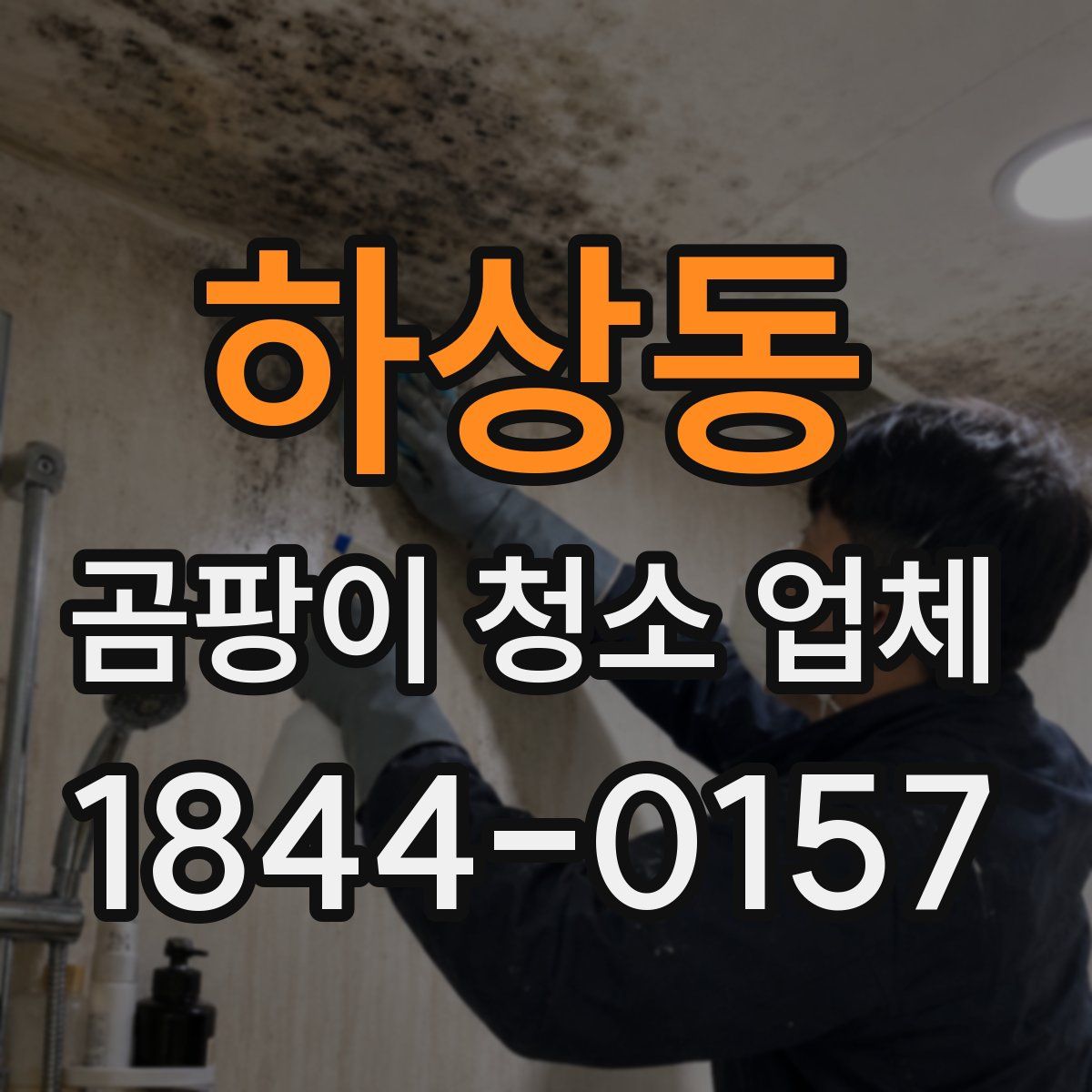 하상동 곰팡이 청소 업체