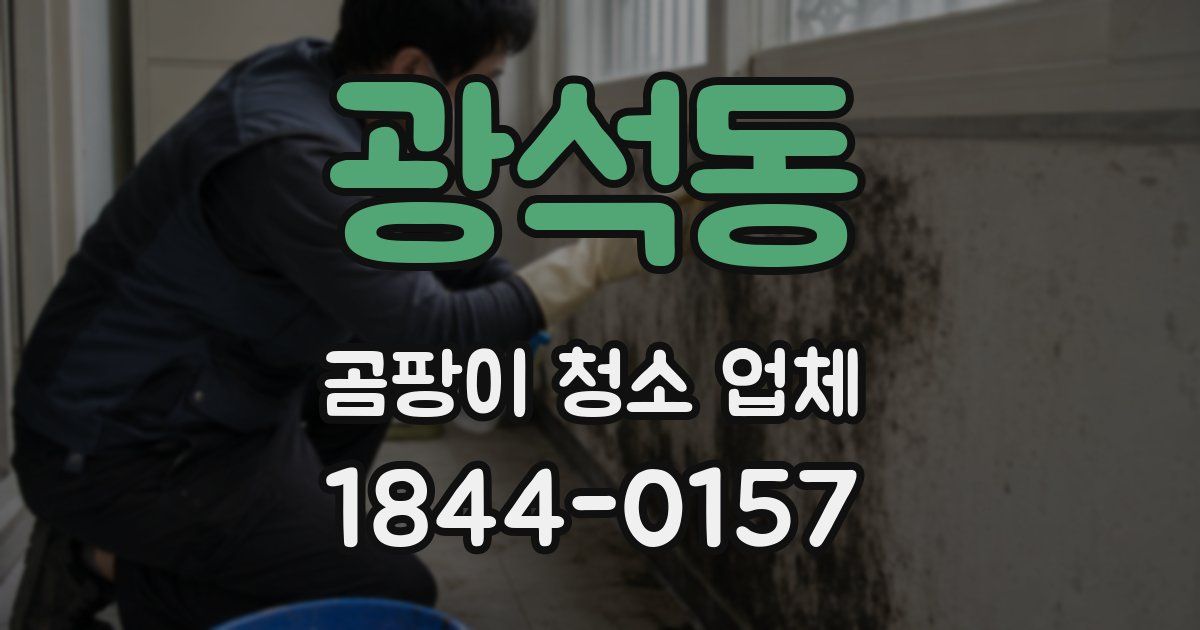 광석동 곰팡이 청소 업체