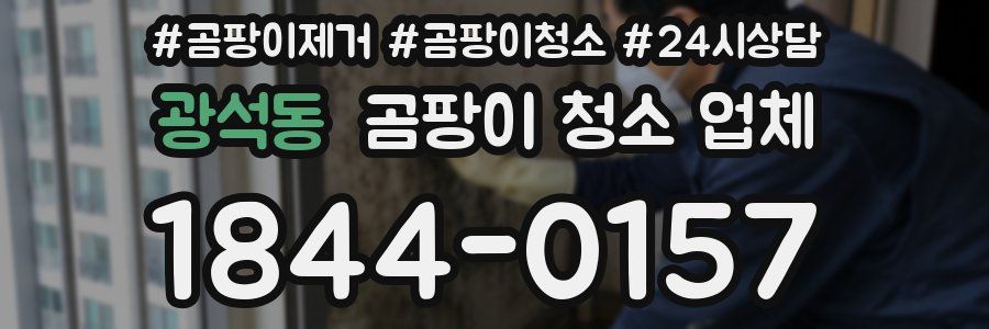 광석동 곰팡이 청소 업체