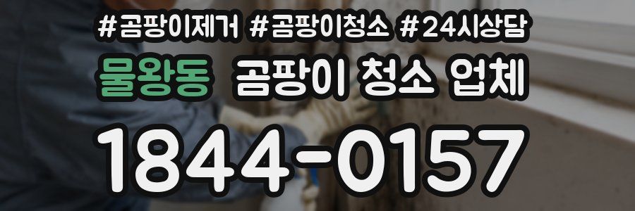 물왕동 곰팡이 청소 업체