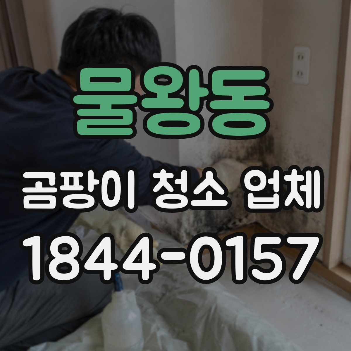 물왕동 곰팡이 청소 업체