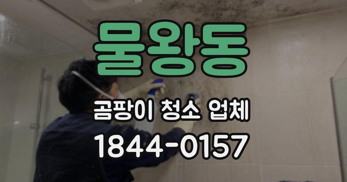 물왕동 곰팡이 청소 업체