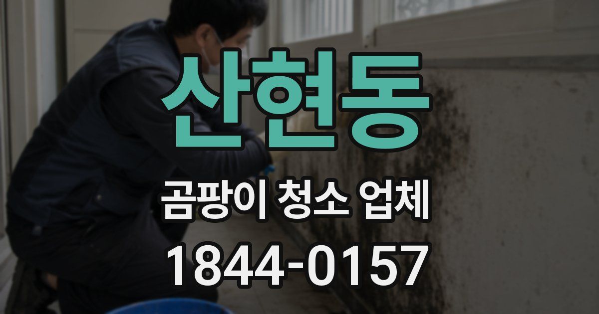 산현동 곰팡이 청소 업체