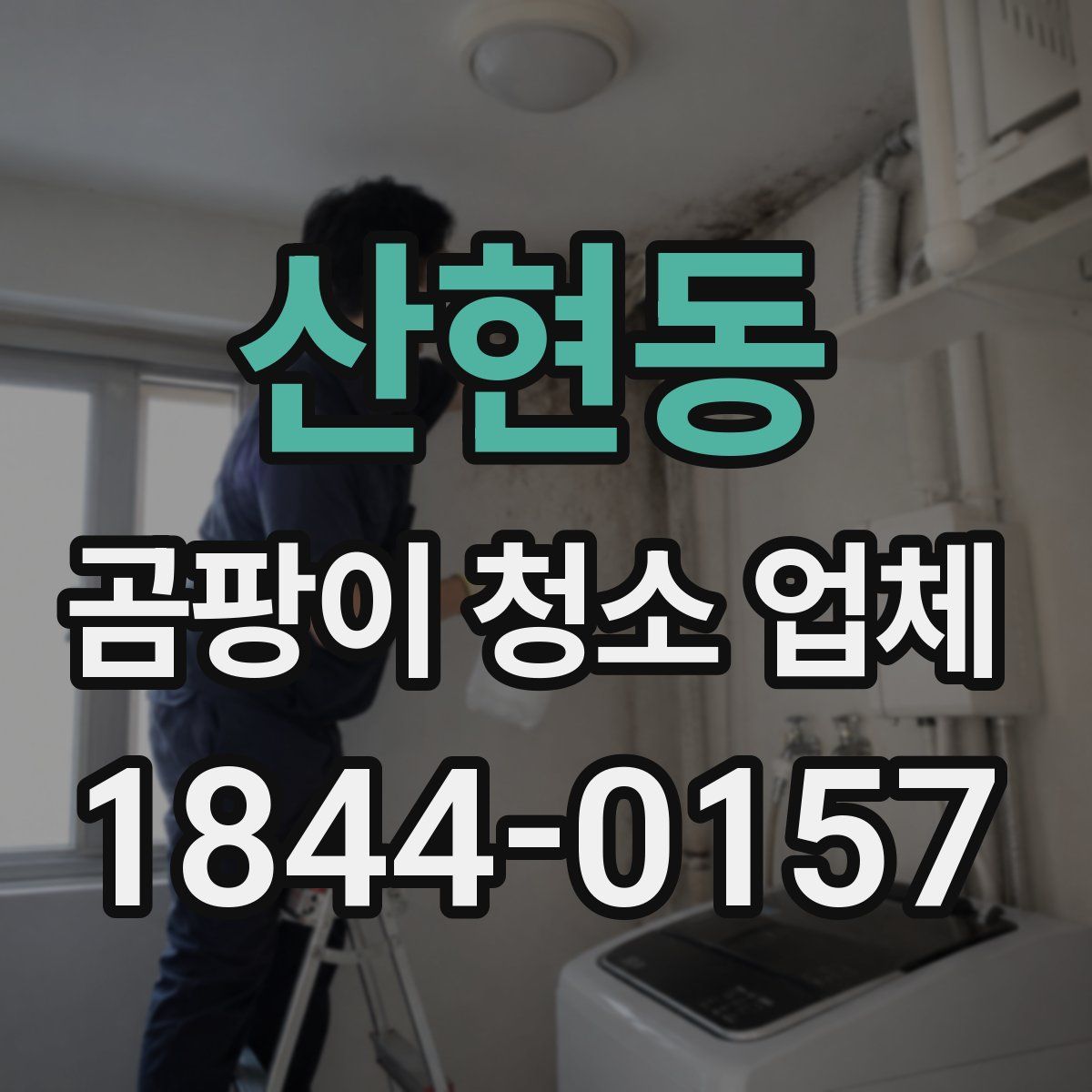 산현동 곰팡이 청소 업체