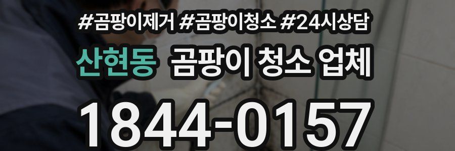 산현동 곰팡이 청소 업체