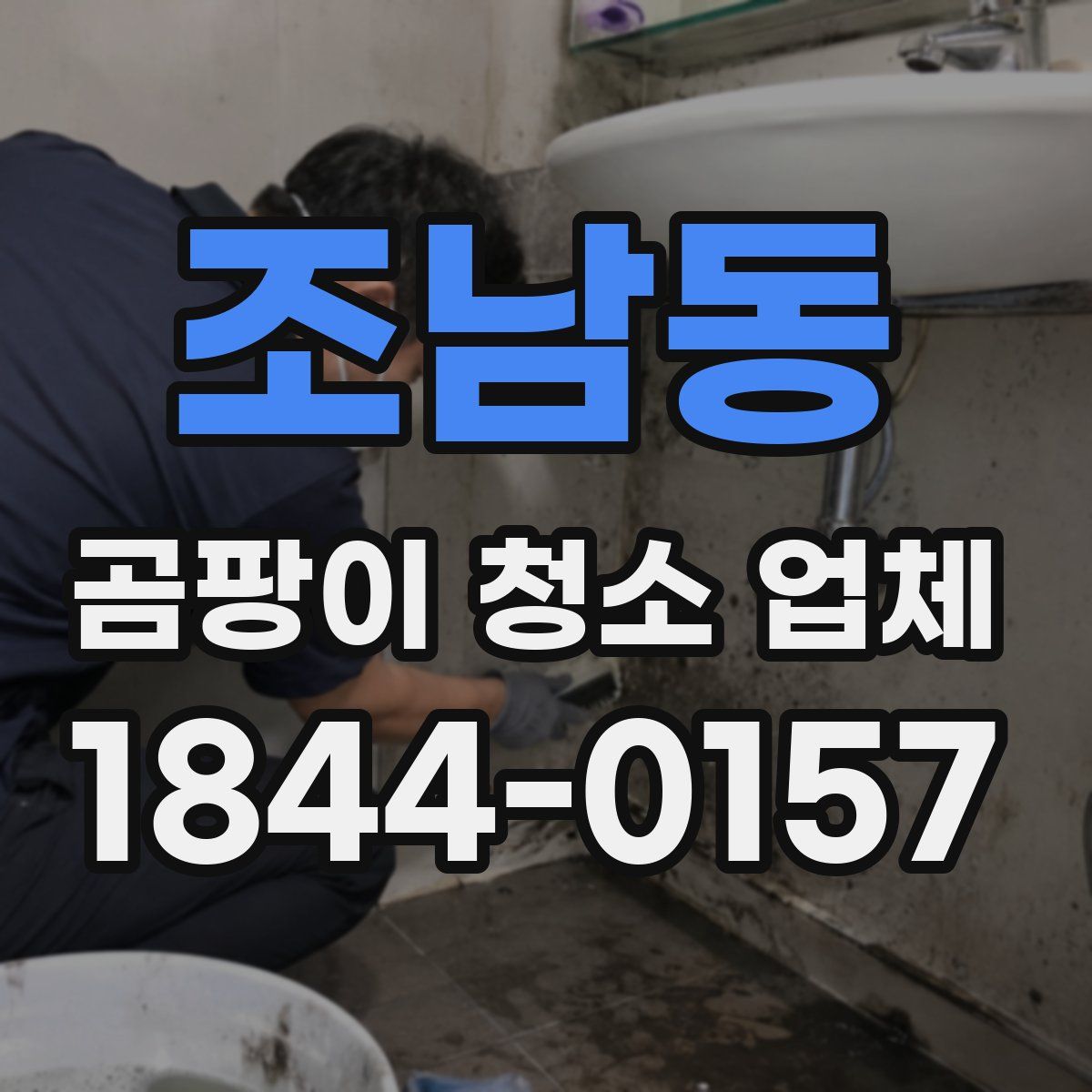 조남동 곰팡이 청소 업체