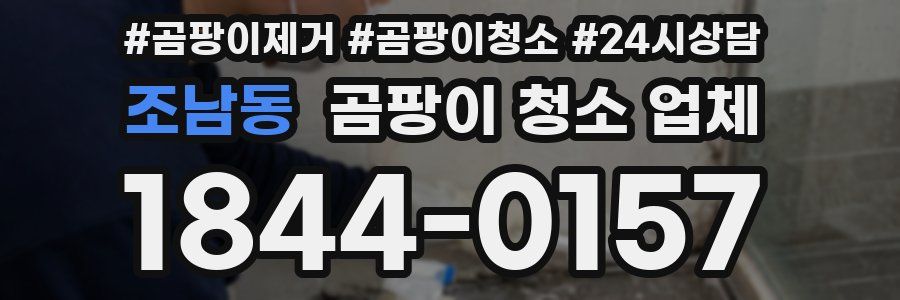 조남동 곰팡이 청소 업체