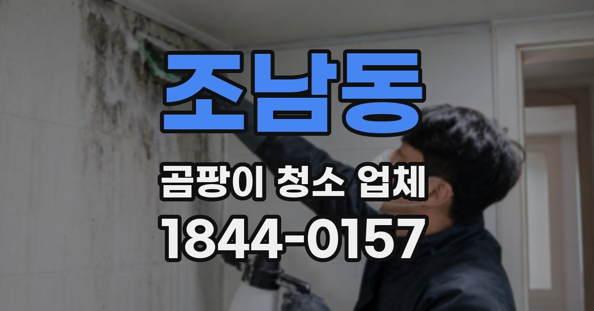 조남동 곰팡이 청소 업체
